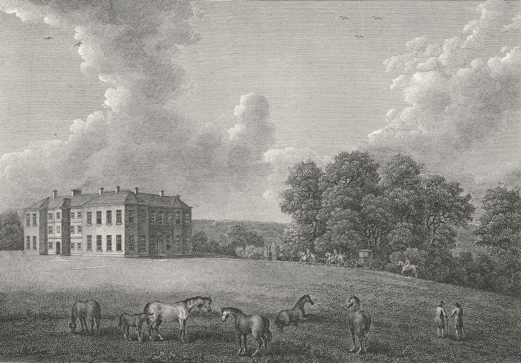 YORKS. Lartington in, Henry Maire. Angus horses 1790 old antique print picture